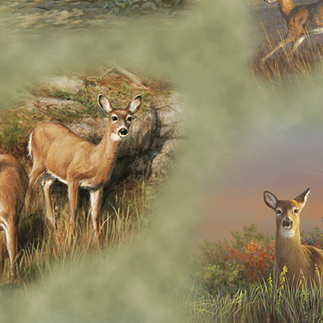 DEER VALLEY